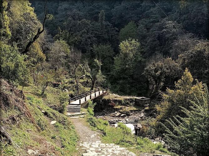 ghorepani poon hill trek - biodiversity